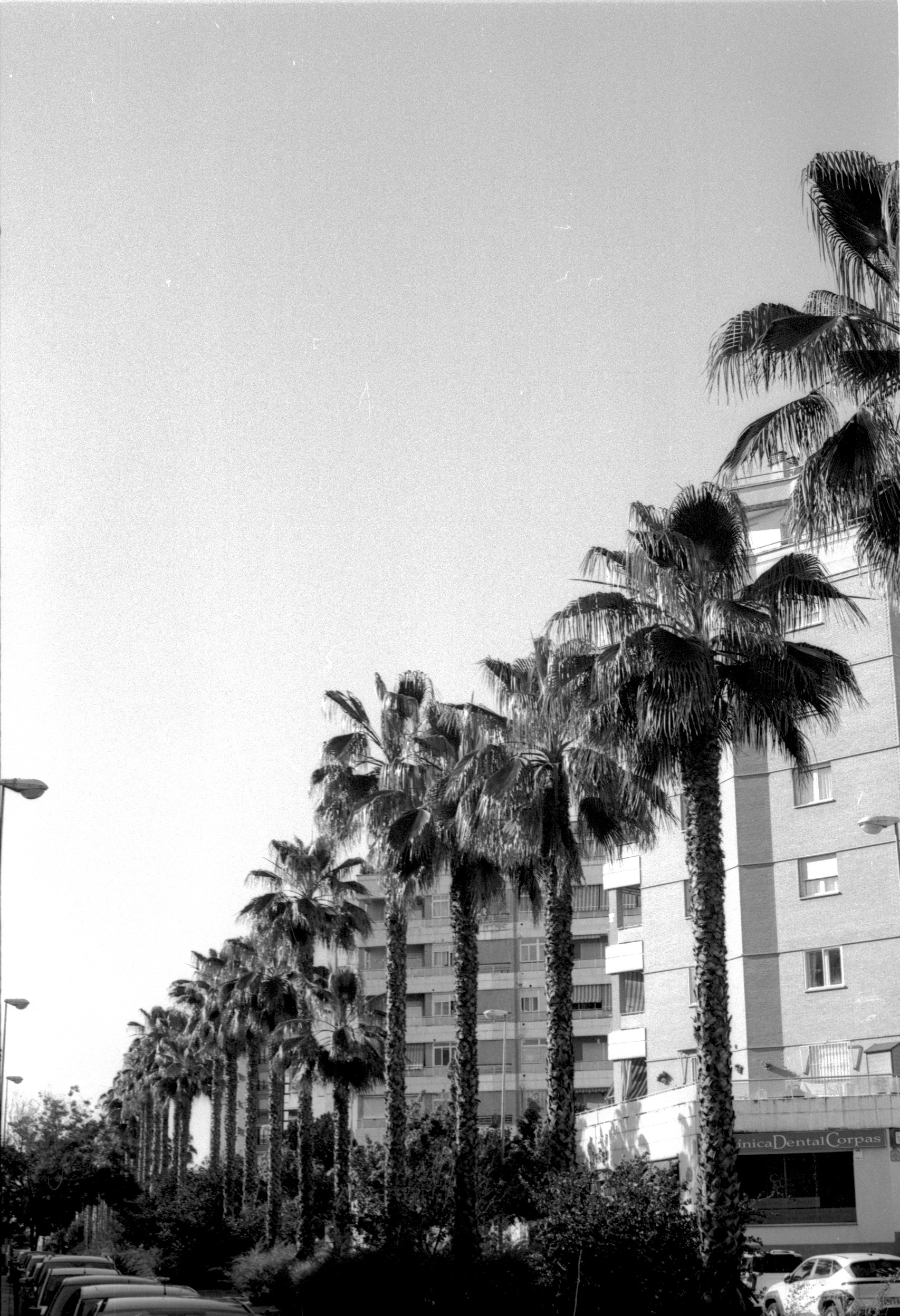 Fotografía 14