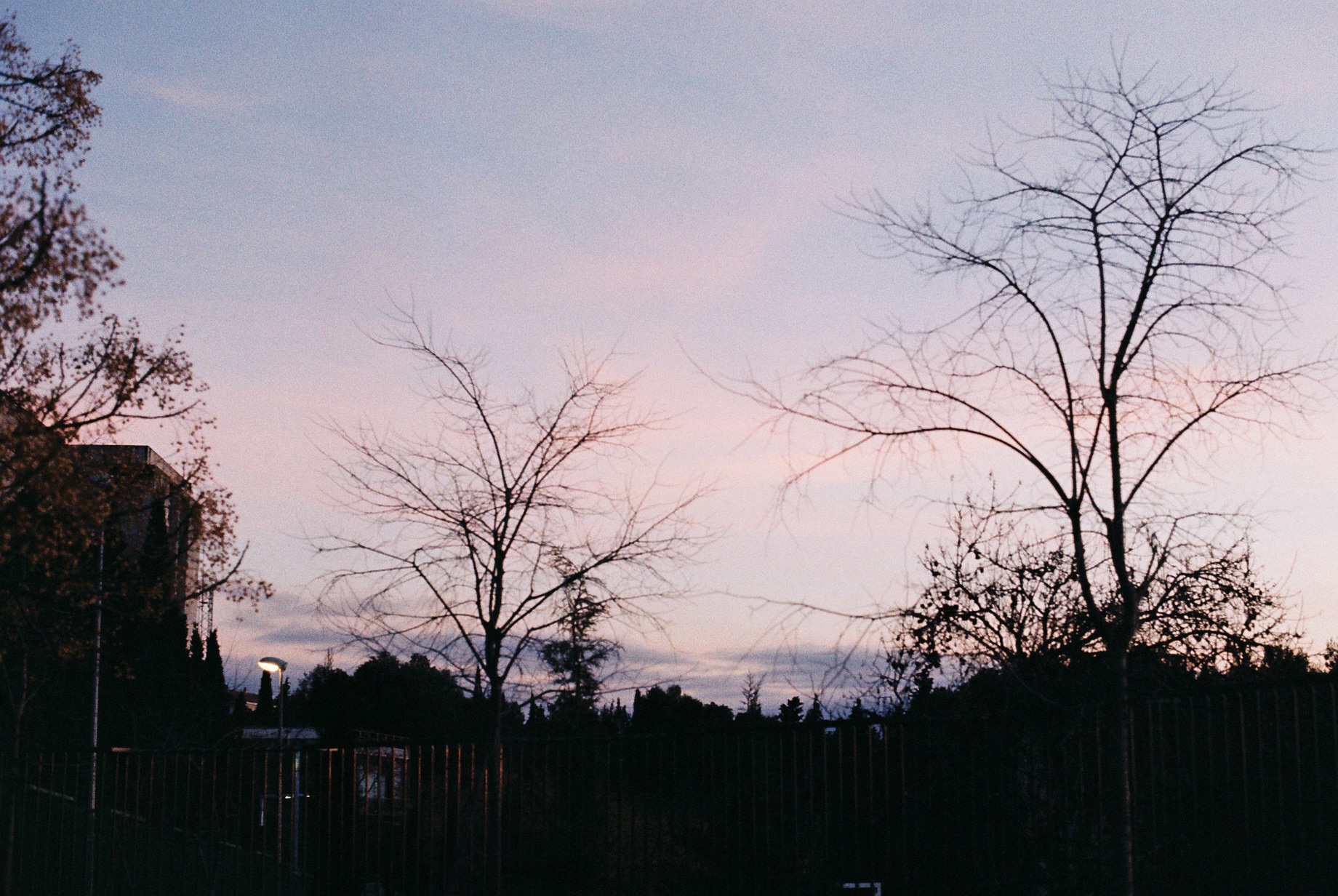 Foto color 3