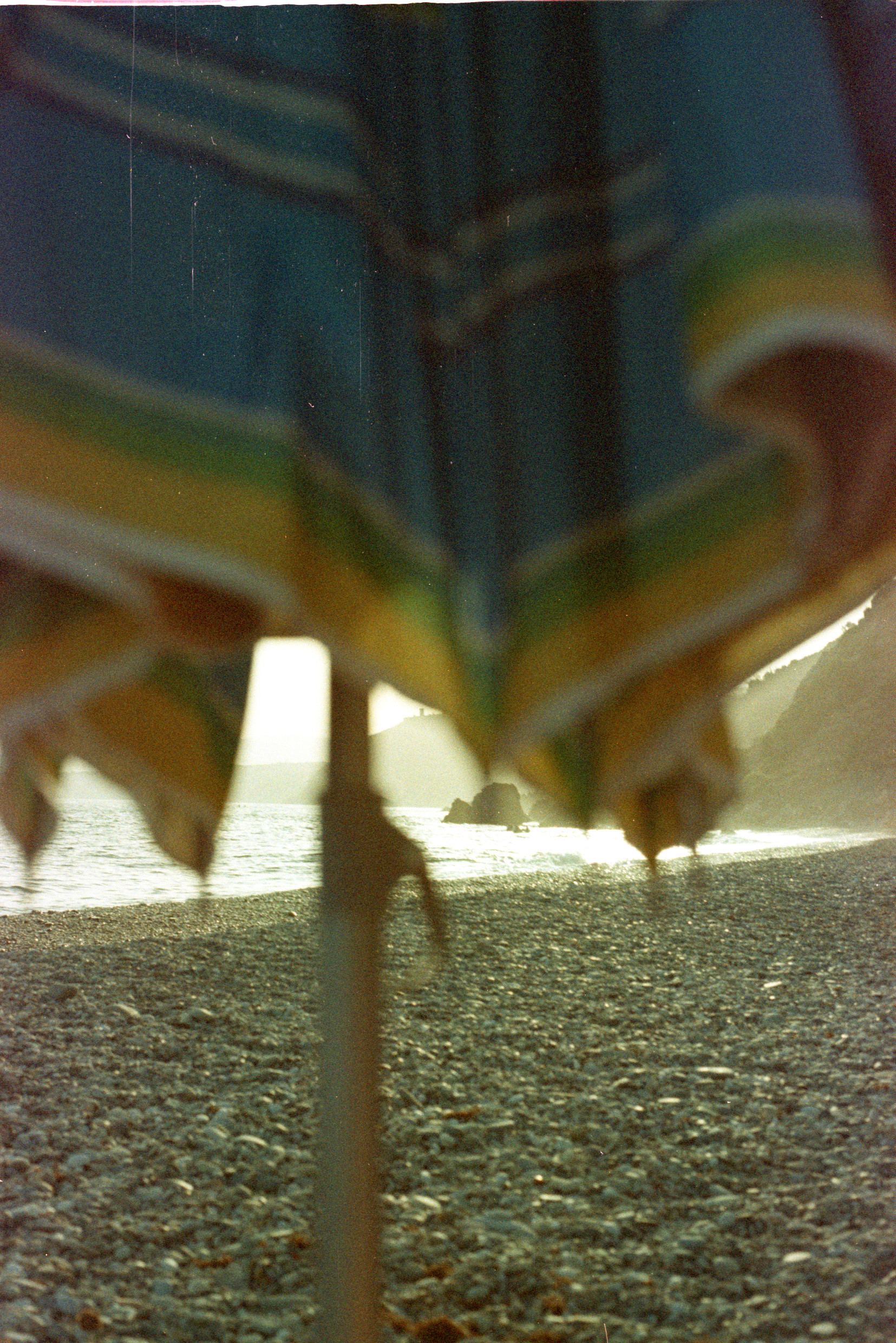 Foto color 7