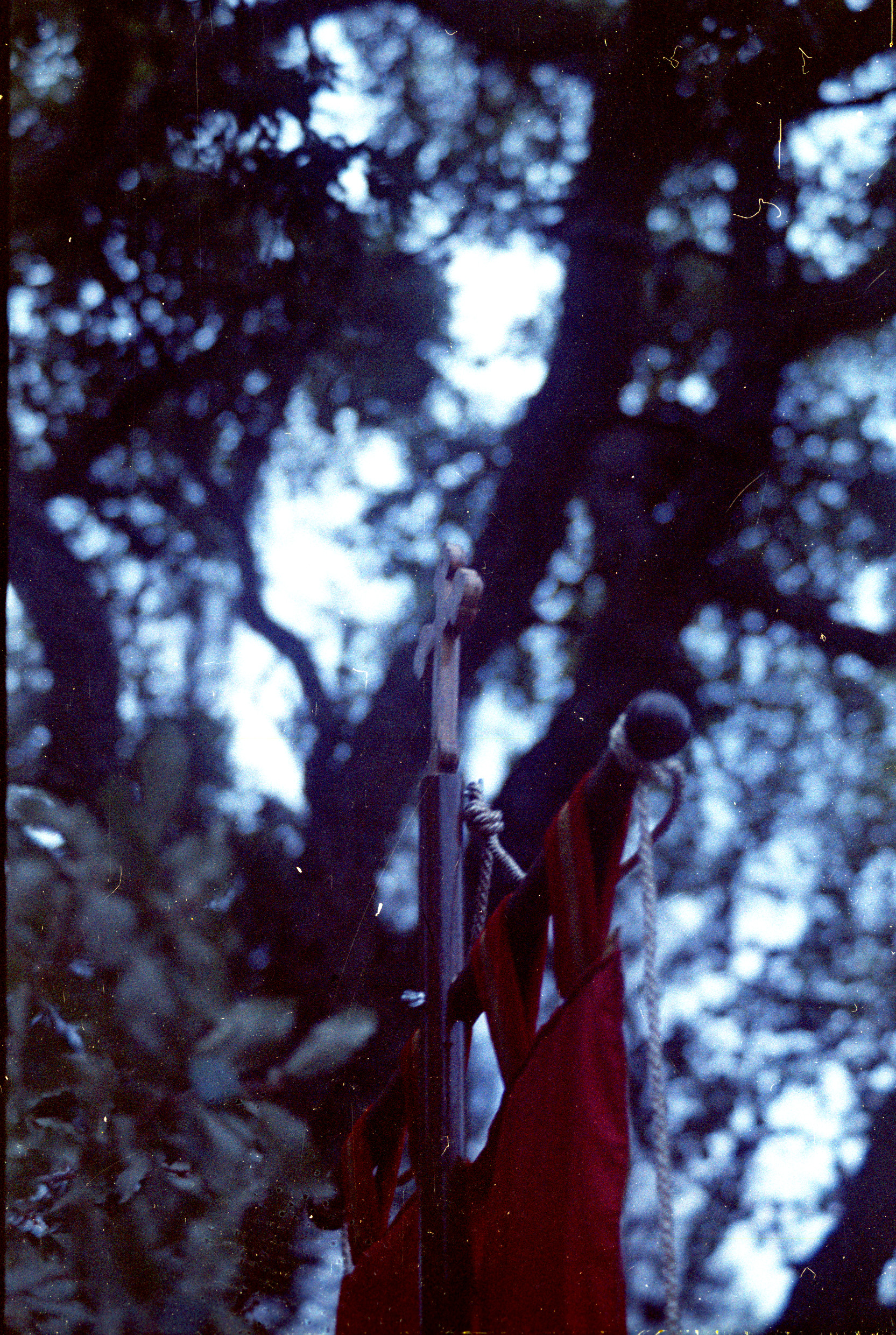 Foto color 8
